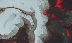 Featured image of post Cupcake #2: Brain