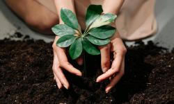 Featured image of post Life With Purpose