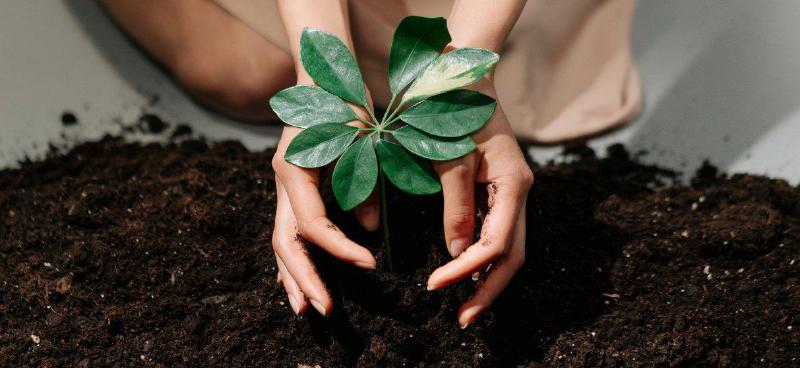 Featured image of post Life With Purpose